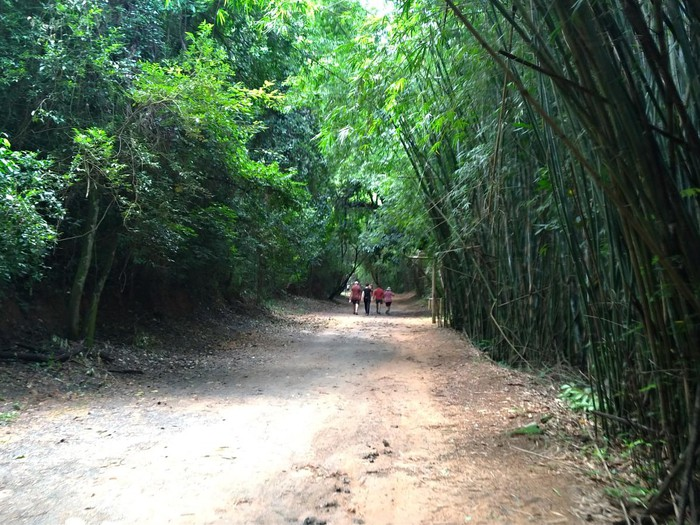 Roteiro de Caminhada/Trekking Histórico e Ambiental